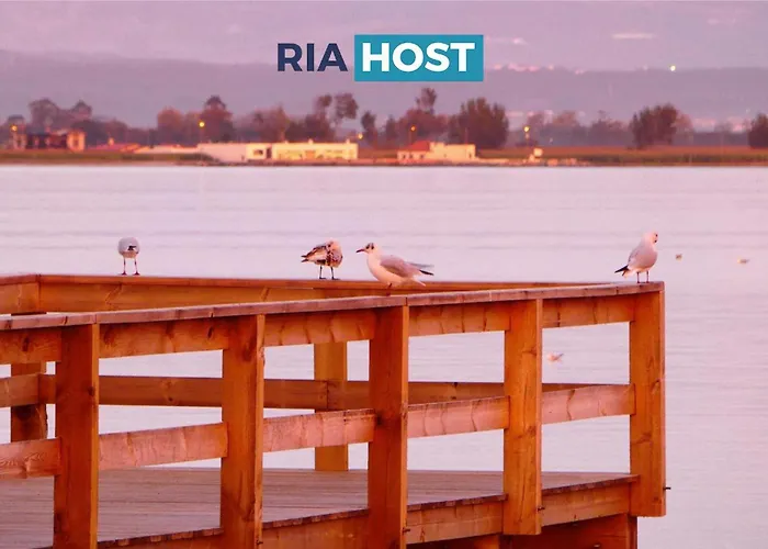 Lejlighed Ocean And River *